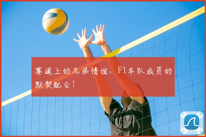 赛道上的兄弟情谊，F1车队成员的默契配合！