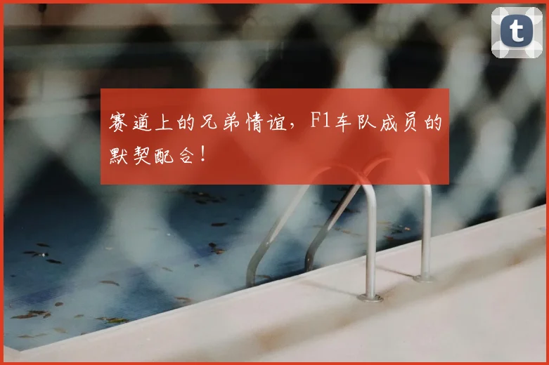 赛道上的兄弟情谊,F1车队成员的默契配合!