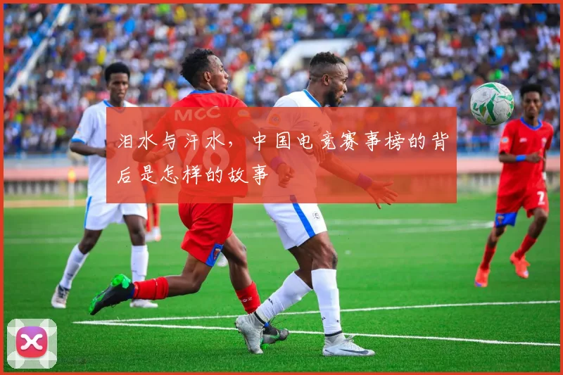 泪水与汗水,中国电竞赛事榜的背后是怎样的故事